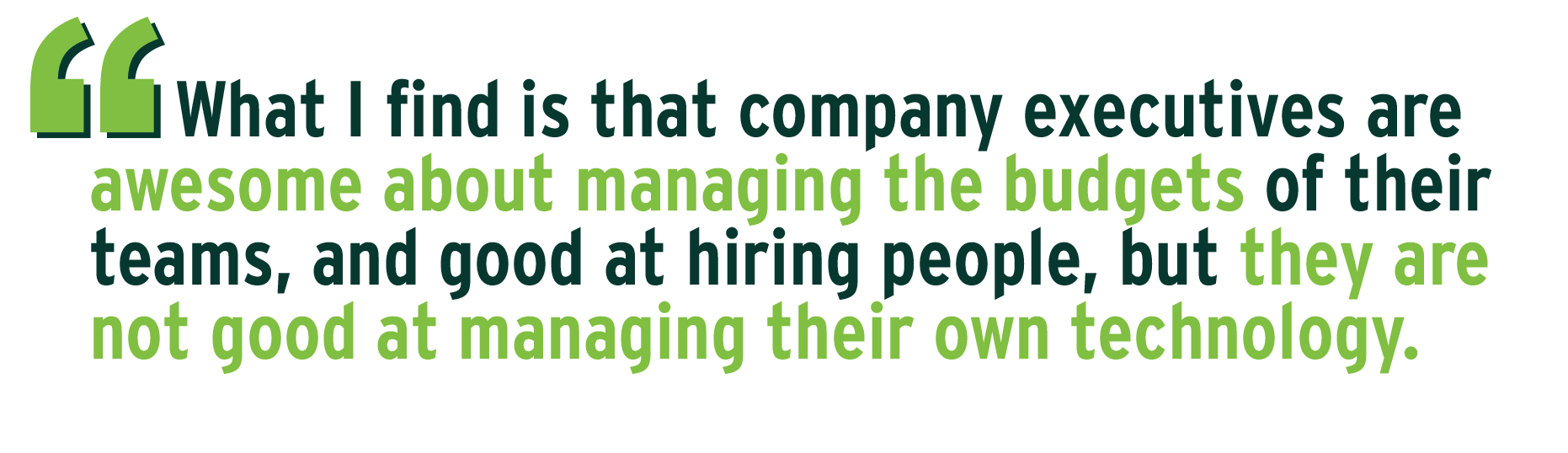 What I find is that company executives are awesome about managing the budgets of their teams, and good at hiring people, but they are not good at managing their own technology.