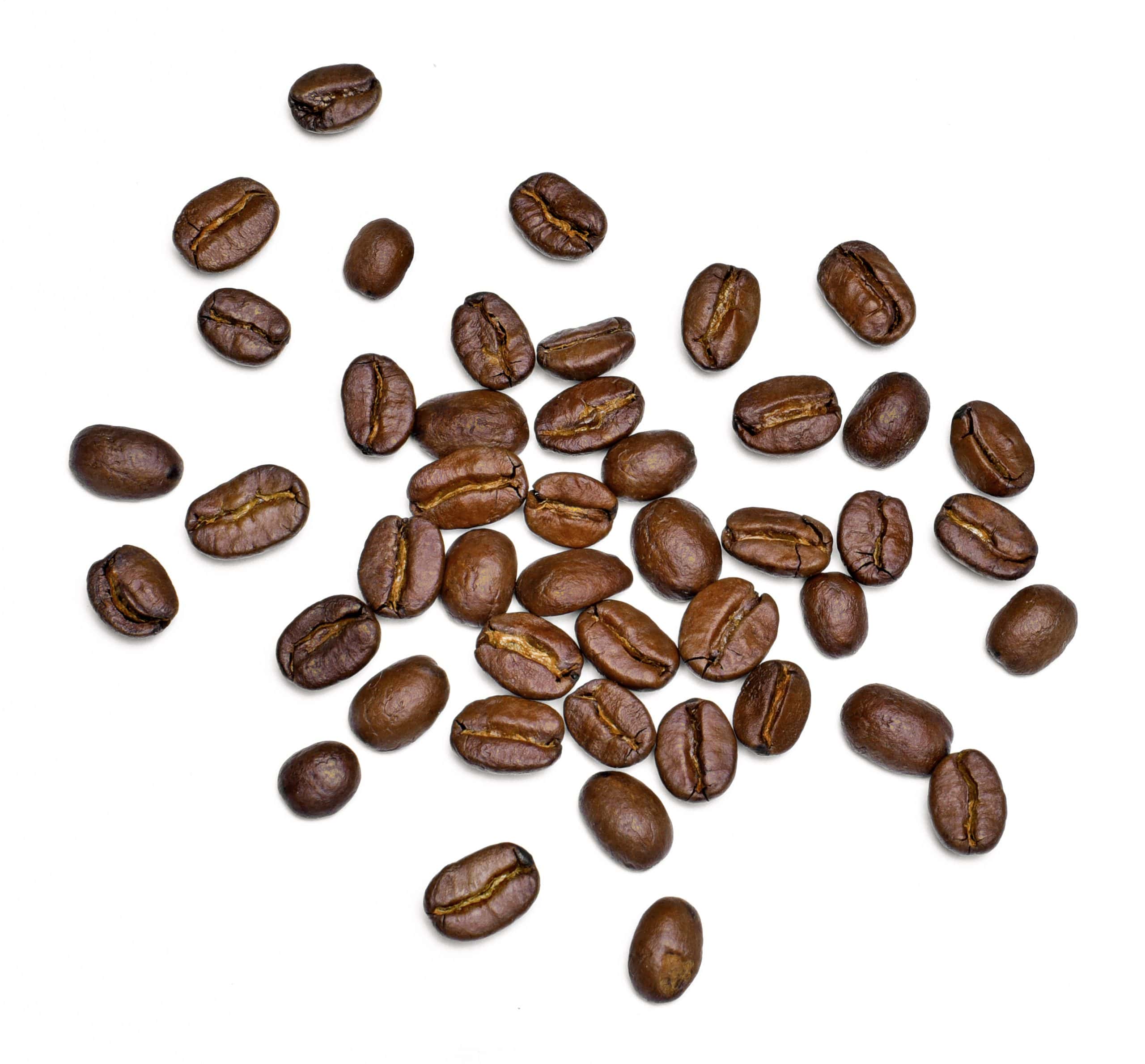 Mobile Application Streamlines Community Coffee’s Wholesale Service