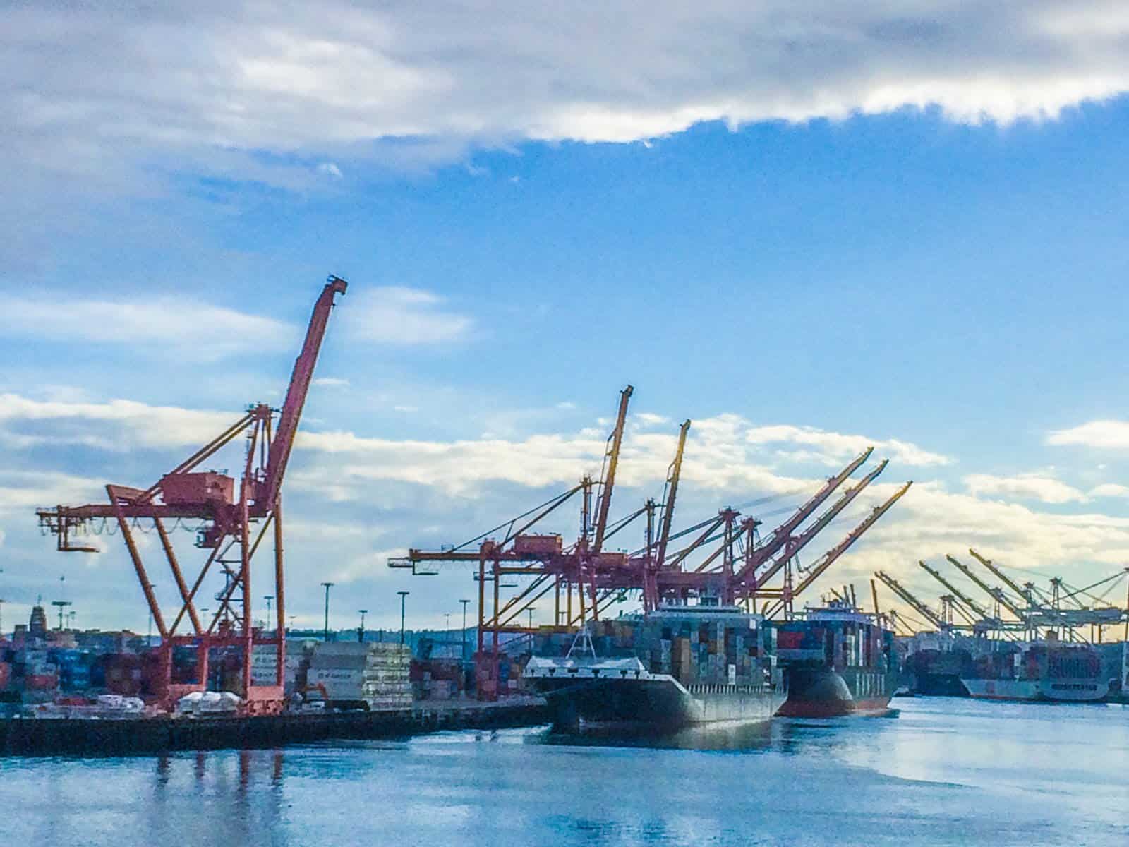 Executive Summary Established in 1972, the port’s primary business is offloading foreign crude oil from…